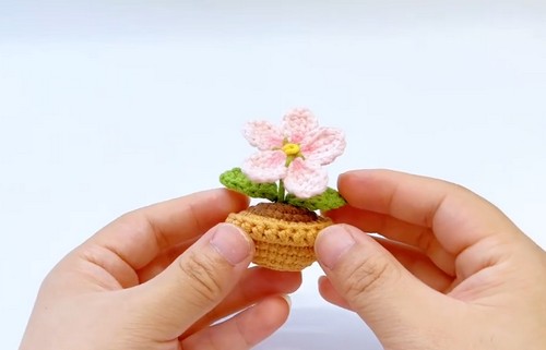 How To Crochet Easy Mini Potted Plant 3