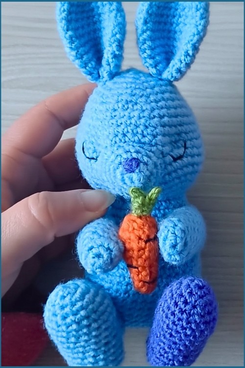_Crochet Bunny Amigurumi 4