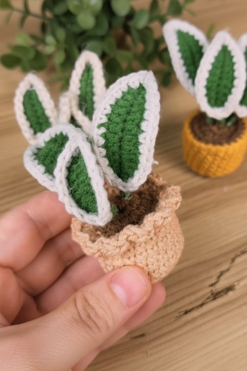Crochet Plant Patern 4