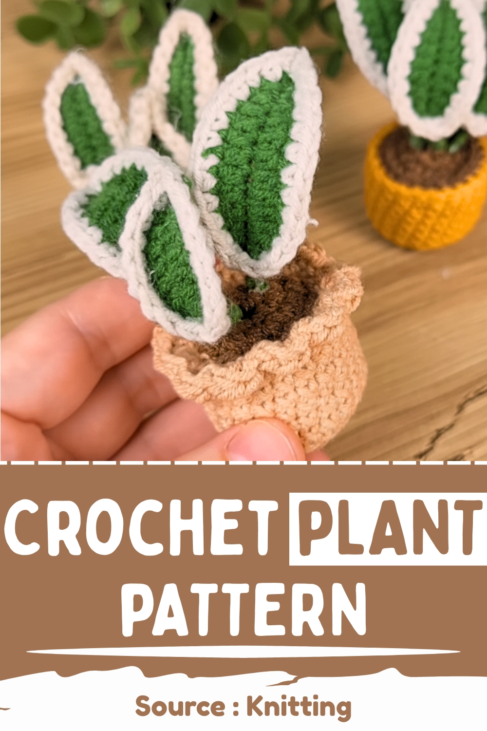 Crochet Plant Patern