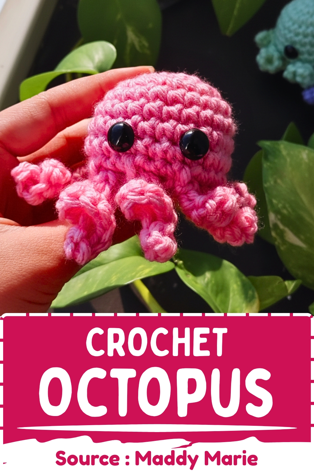Mini Crochet Octopus Free Pattern Amigurumi For Beginners - Amigurumiy