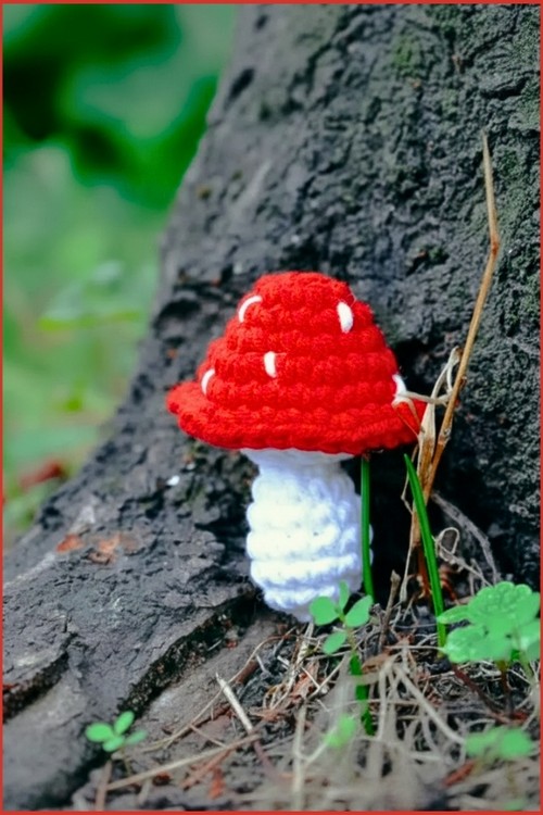 Crochet Amigurumi Mushroom 4