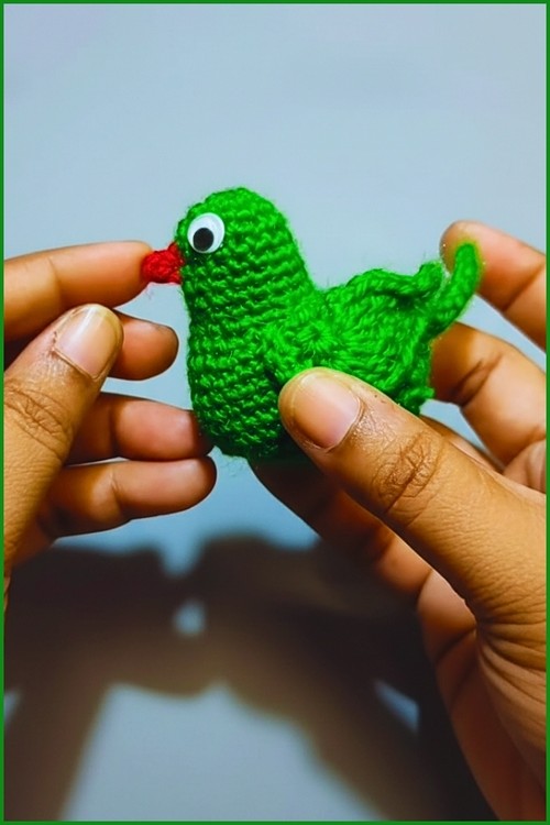 Green Indian Parrot Amigurumi 4
