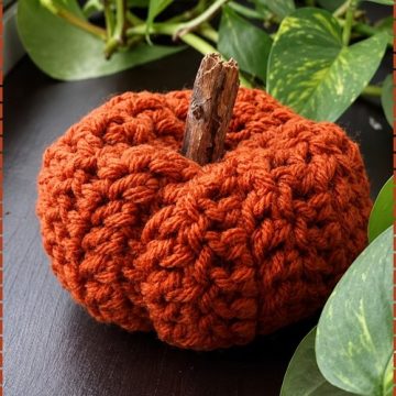 Crochet Pumpkin Amigurumi 5