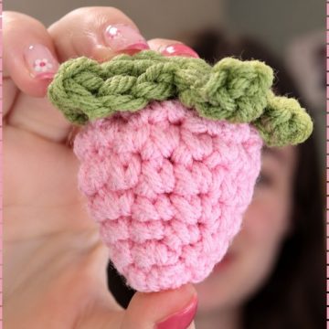 Crochet Strawberry Amigurumi 5