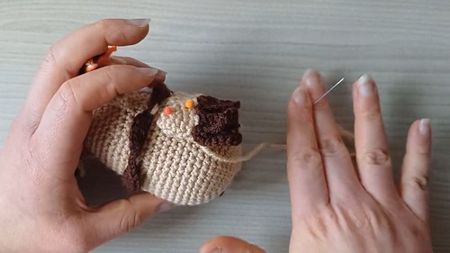 Easy Copy of Owl Free Amigurumi Pattern 1